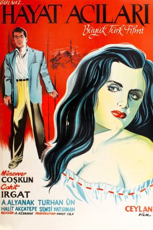 Hayat acilari's poster