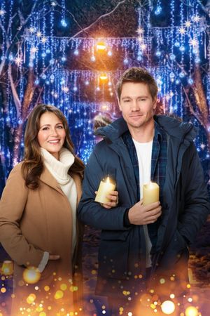Love in Winterland's poster