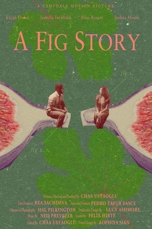 A Fig Story's poster