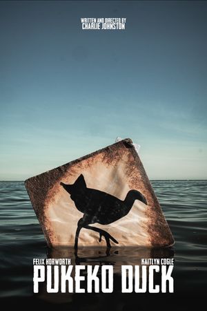 Pukeko Duck's poster