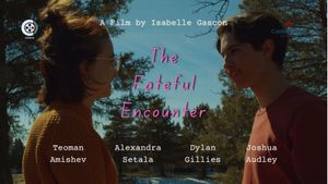 The Fateful Encounter's poster