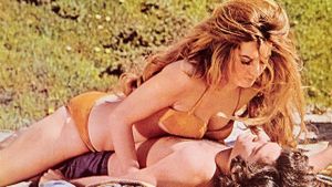 Beyond the Valley of the Dolls's poster
