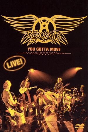 Aerosmith - You Gotta Move's poster