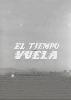 Time Flies's poster