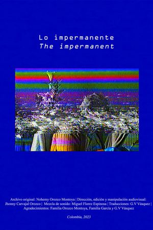 Lo impermanente's poster