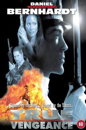 True Vengeance's poster