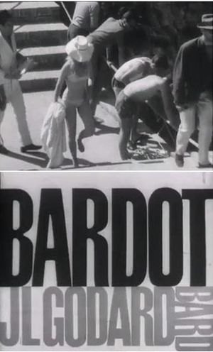 Bardot et Godard's poster