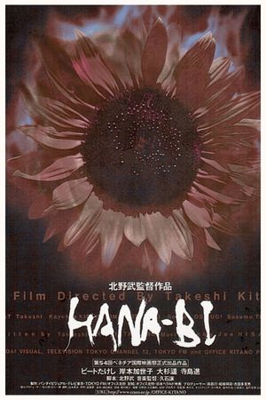 Fireworks's poster