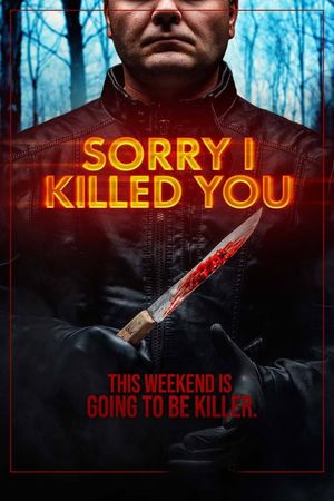 Sorry I Killed You's poster