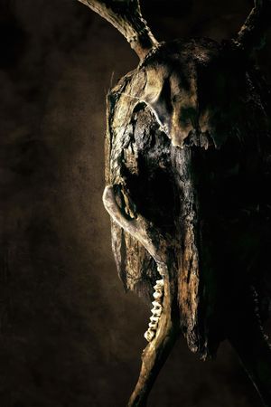 The Heretics's poster