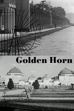 Golden Horn's poster