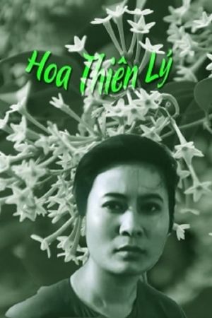 Hoa thiên lý's poster