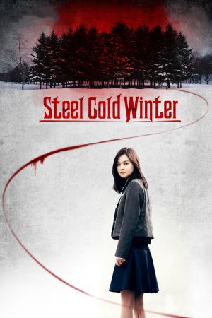 Steel Cold Winter's poster