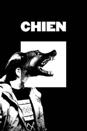 Dog's poster