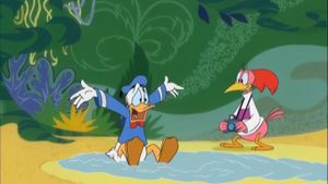 Bird Brained Donald's poster