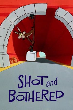 Shot and Bothered's poster