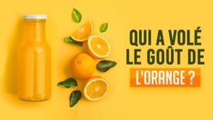 Qui a volé le goût de l'orange ?'s poster