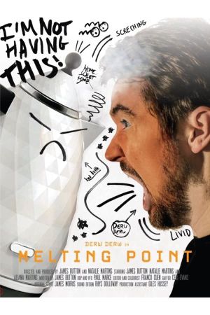 Melting Point's poster