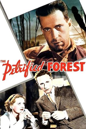 The Petrified Forest's poster