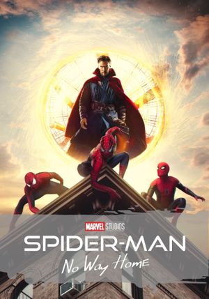 Spider-Man: No Way Home's poster