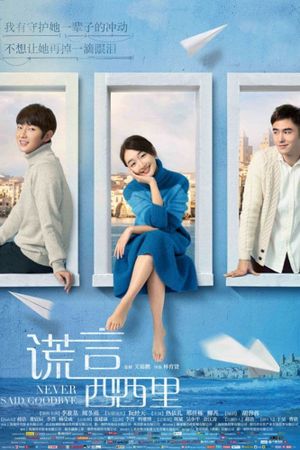 Never Said Goodbye's poster