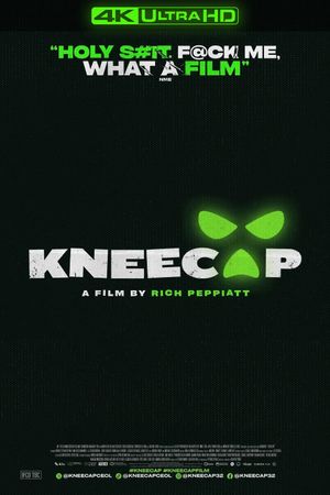 Kneecap's poster