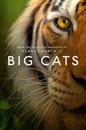 Big Cats's poster