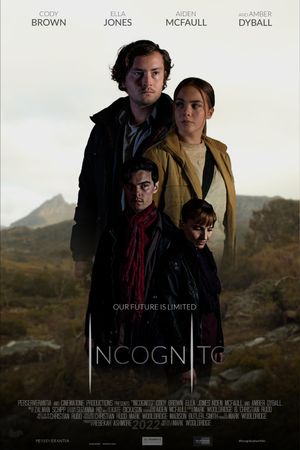 Incognito's poster