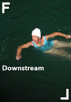 Downstream's poster image