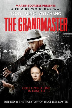 The Grandmaster's poster