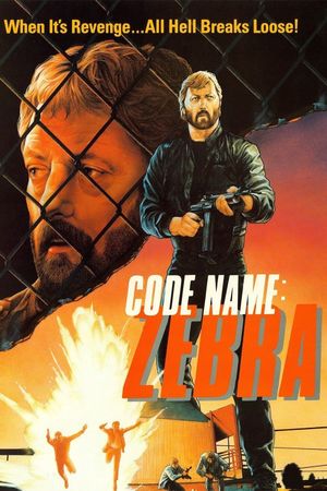 Code Name Zebra's poster