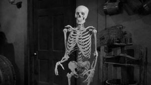 The Lost Skeleton of Cadavra's poster