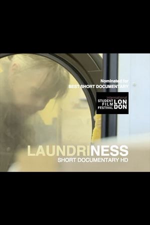 Laundriness's poster