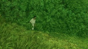 The Red Turtle's poster