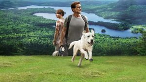 Dog Gone's poster