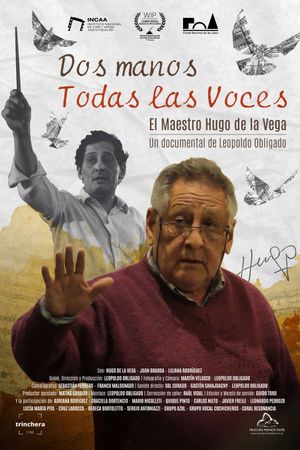 Dos manos todas las voces's poster image