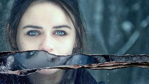 The Lie's poster