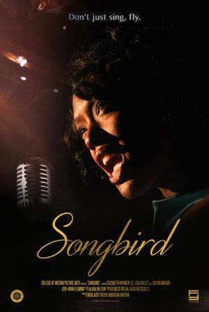 Songbird's poster