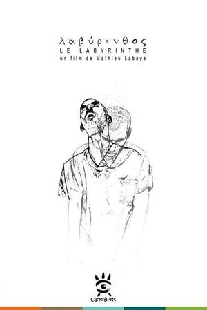 The Labyrinth's poster