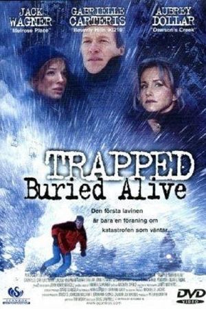 Trapped: Buried Alive's poster