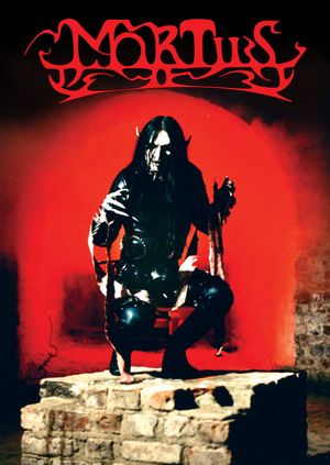 Vardøger's poster