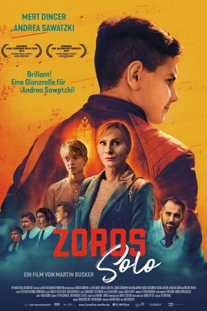 Zoros Solo's poster