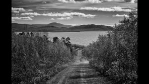 Solitary Road's poster