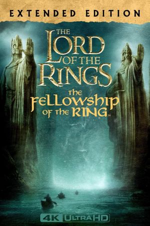 The Lord of the Rings: The Fellowship of the Ring's poster