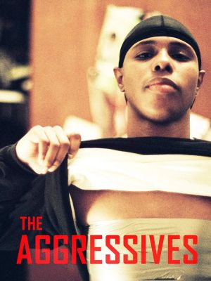 The Aggressives's poster