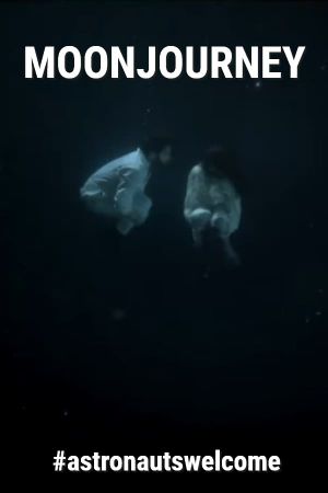 Moonjourney's poster