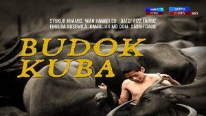 Budok Kuba's poster