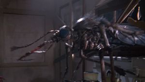 Mosquito's poster