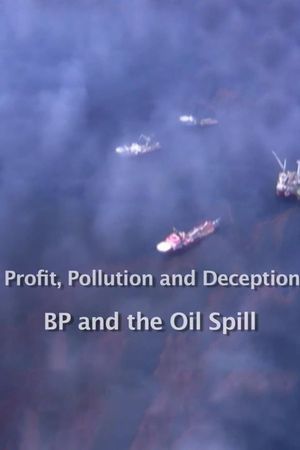 Profit, Pollution and Deception - BP and the Oil Spill's poster