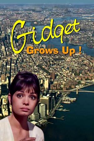 Gidget Grows Up's poster